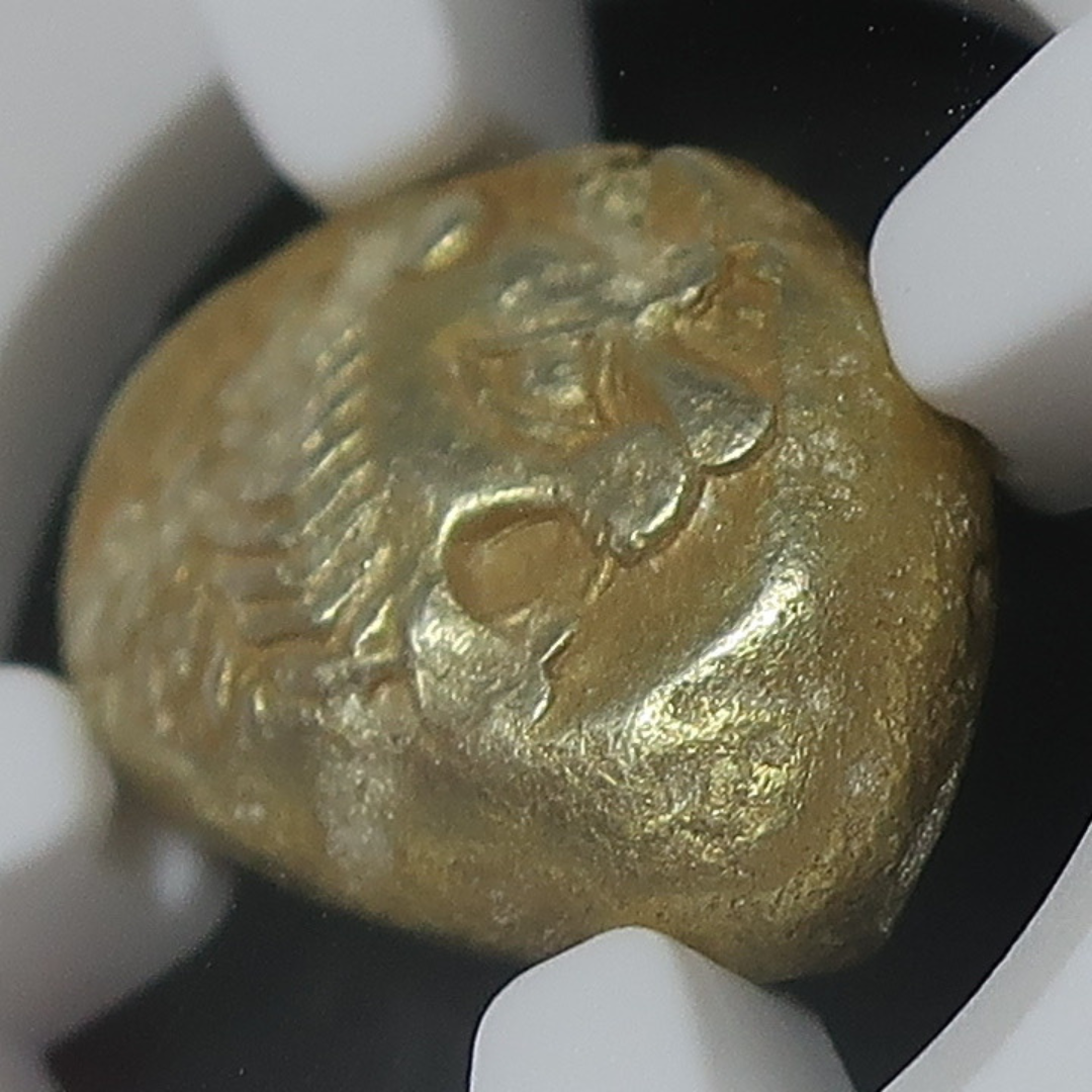 【期間限定】610-546BC リディア帝国 1/3スタテル金貨 エレクトラム ChXF 4/5-4/5 NGC - CoinBlessing(コインブレッシング)