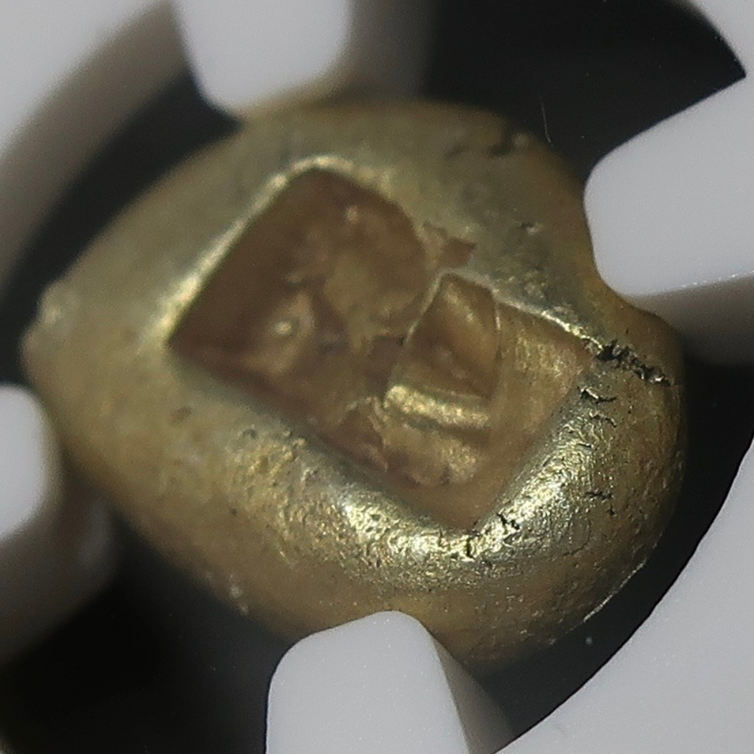 【期間限定】610-546BC リディア帝国 1/3スタテル金貨 エレクトラム ChXF 4/5-4/5 NGC - CoinBlessing(コインブレッシング)