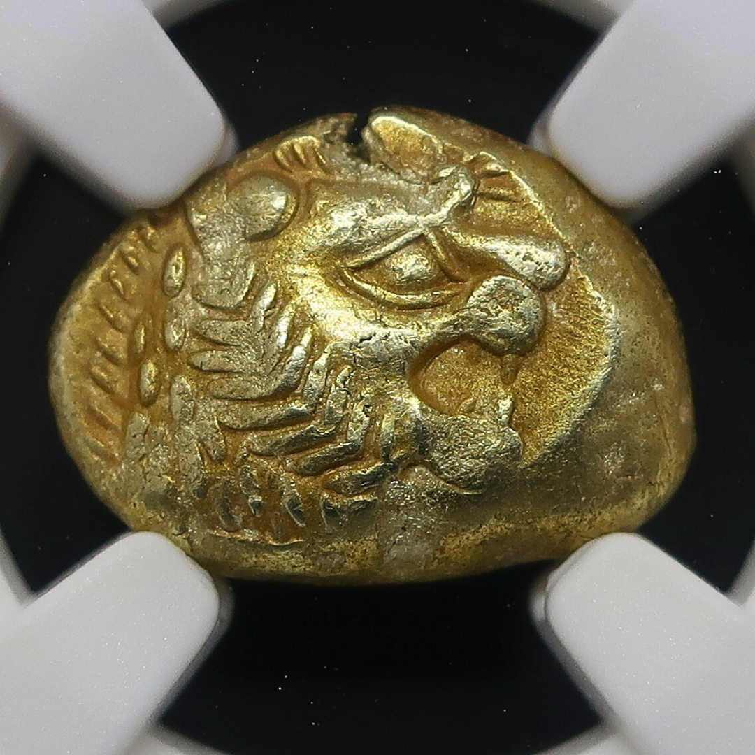【期間限定】610-546BC リディア帝国 1/3スタテル金貨 エレクトラム ChXF 4/5-4/5 NGC - CoinBlessing(コインブレッシング)