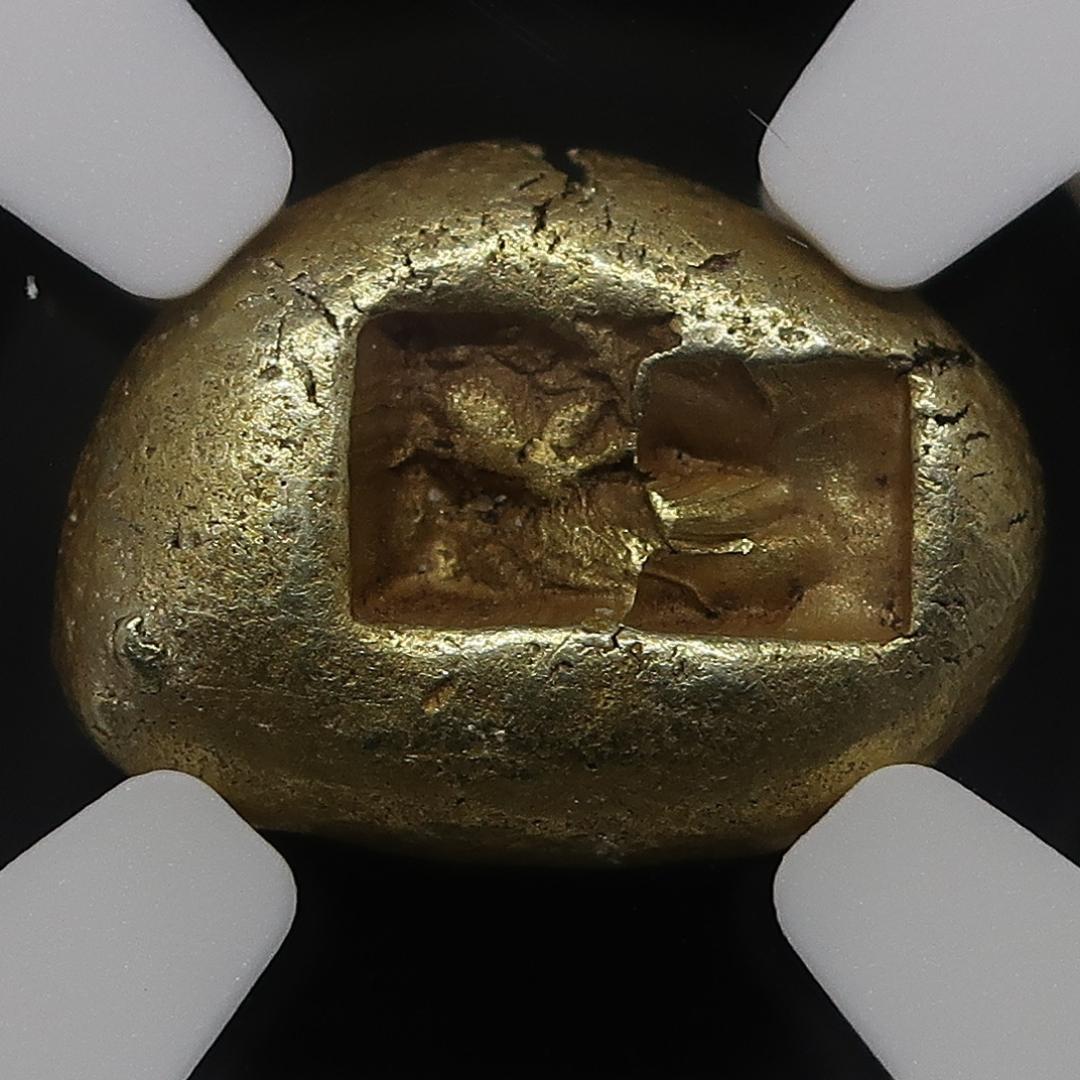 【期間限定】610-546BC リディア帝国 1/3スタテル金貨 エレクトラム ChXF 4/5-4/5 NGC - CoinBlessing(コインブレッシング)