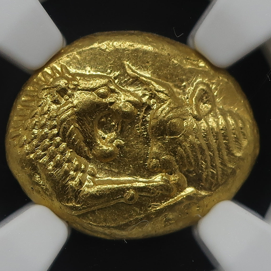 【満点】561-546BC リディア帝国 スタテル金貨 ChMS 5/5-5/5 クロイソス ライトシリーズ NGC鑑定済み - CoinBlessing(コインブレッシング)
