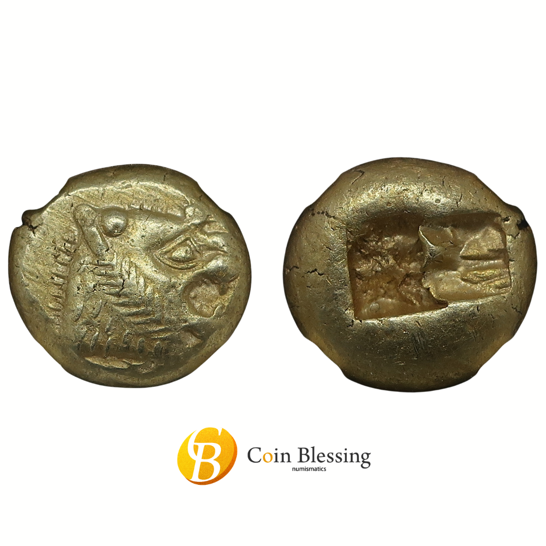 リディア エレクトロン貨 表裏並び + Coin Blessing ロゴ