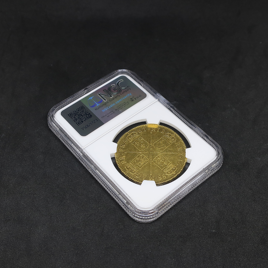 ジェームズ2世 5ギニー金貨 裏面クローズアップ — 戴冠四盾紋章と「MAG BR FRA ET HIB REX」銘文