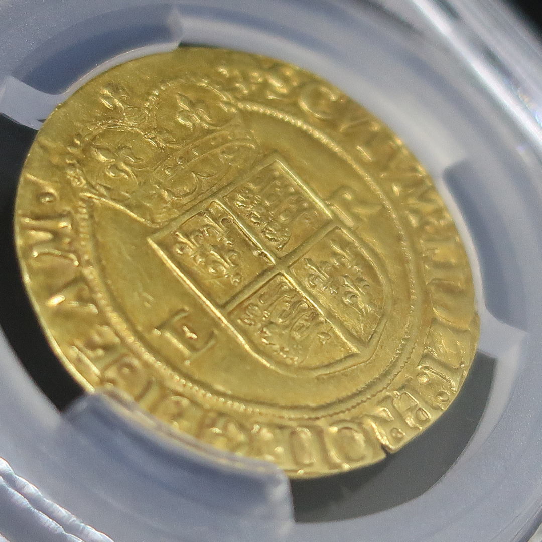 エリザベス1世 ハーフポンド金貨 裏面クローズアップ — 戴冠盾紋章と「SCVTVM FIDEI PROTEGET EAM」銘文
