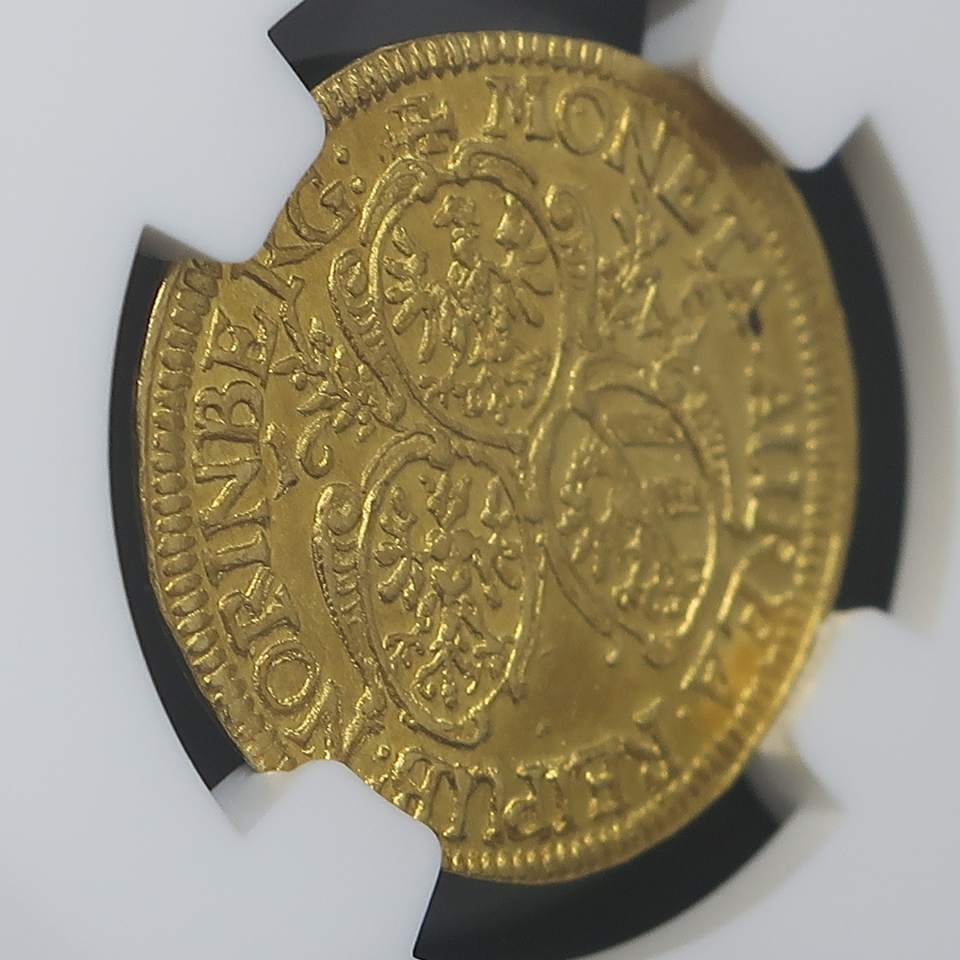 NGC スラブ 裏面アングル