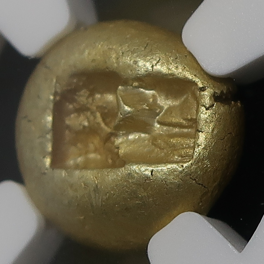 NGC スラブ 裏面アングル