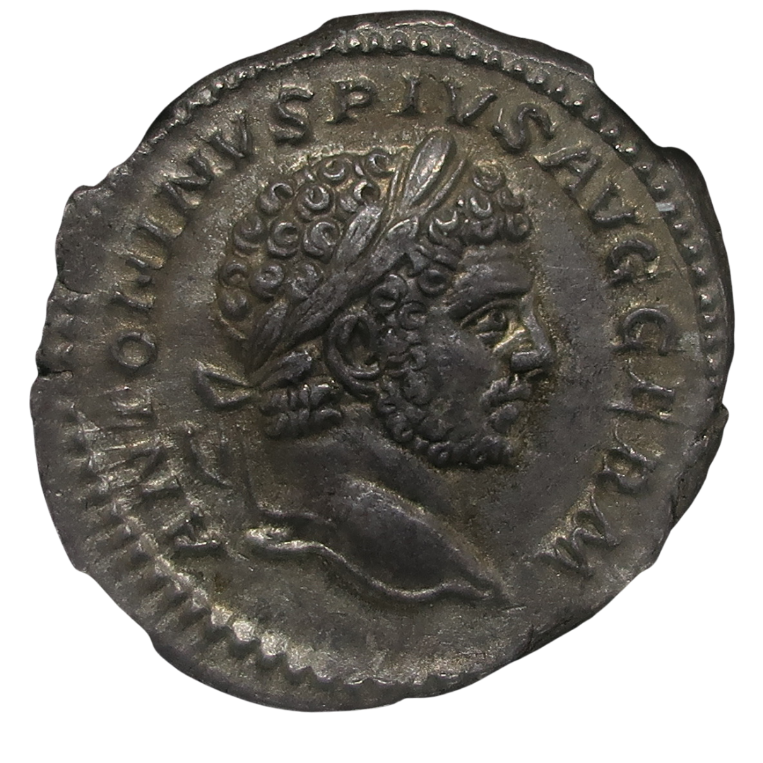 AD198-217 ローマ帝国 デナリウス銀貨 カラカラ帝 ChAU5/5-5/5 NGC鑑定済み image1