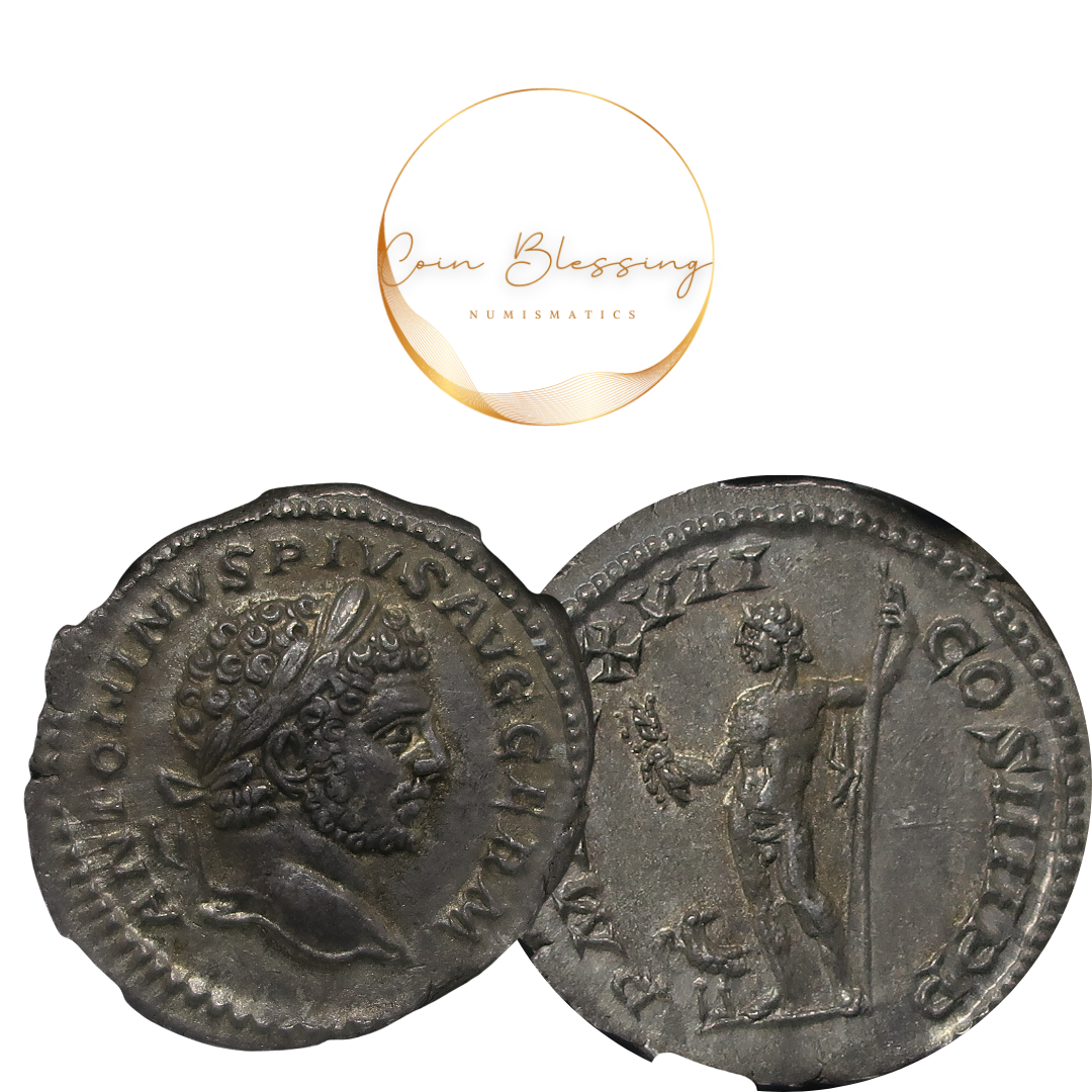 AD198-217 ローマ帝国 デナリウス銀貨 カラカラ帝 ChAU5/5-5/5 NGC鑑定済み image5
