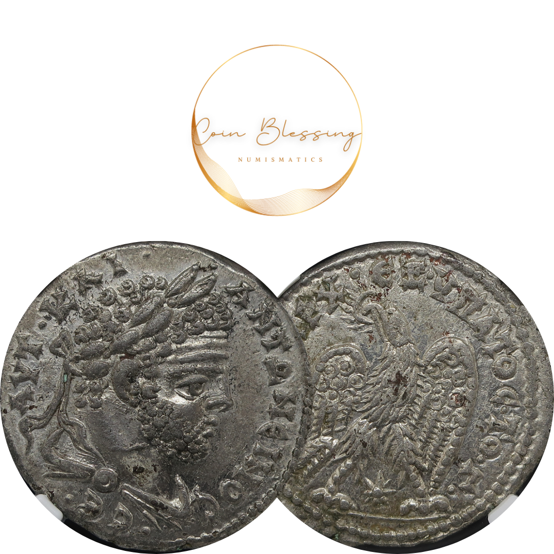 AD 198-217 シリア ラオディキア テトラドラクマ カラカラ帝 ChAU5/5-4/5 NGC鑑定済み image3