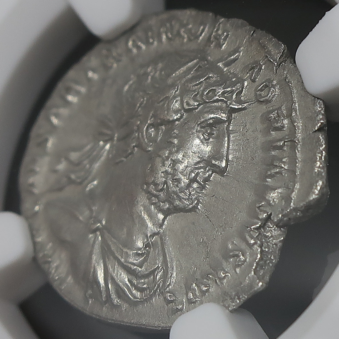 117-138 ローマ帝国 デナリウス銀貨 ハドリアヌス ChXF 4/5-4/5 NGC鑑定済み image6