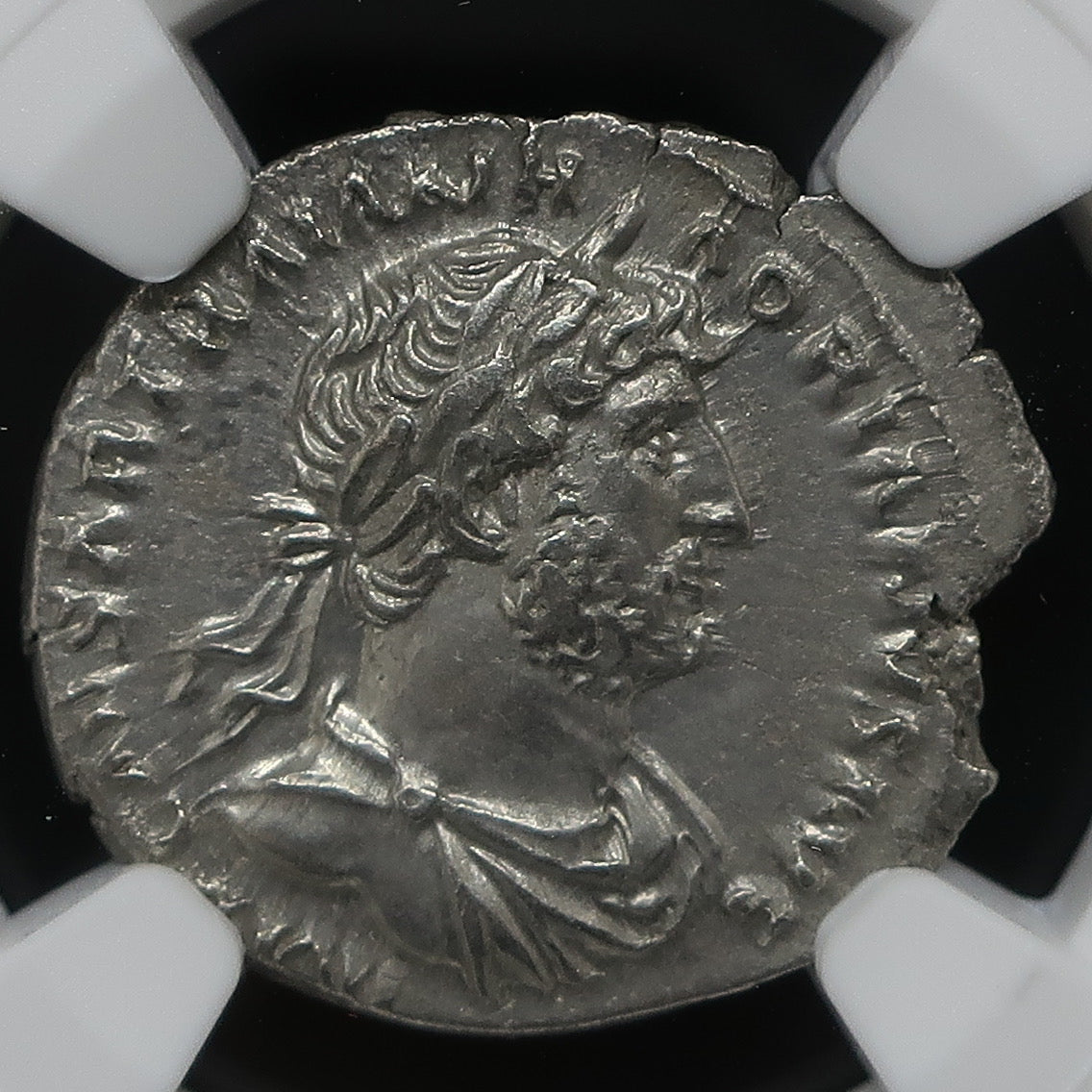117-138 ローマ帝国 デナリウス銀貨 ハドリアヌス ChXF 4/5-4/5 NGC鑑定済み image8