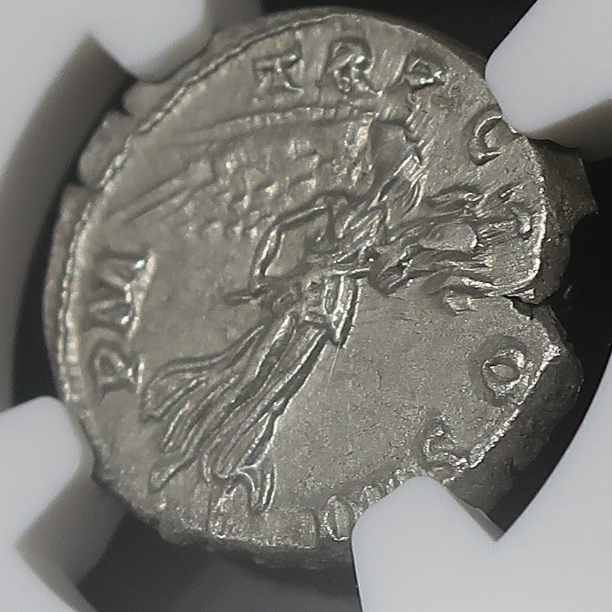 117-138 ローマ帝国 デナリウス銀貨 ハドリアヌス ChXF 4/5-4/5 NGC鑑定済み image9