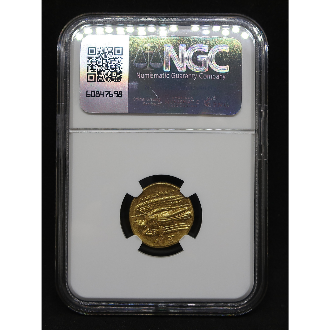 NGC鑑定スラブ全体像 別アングル