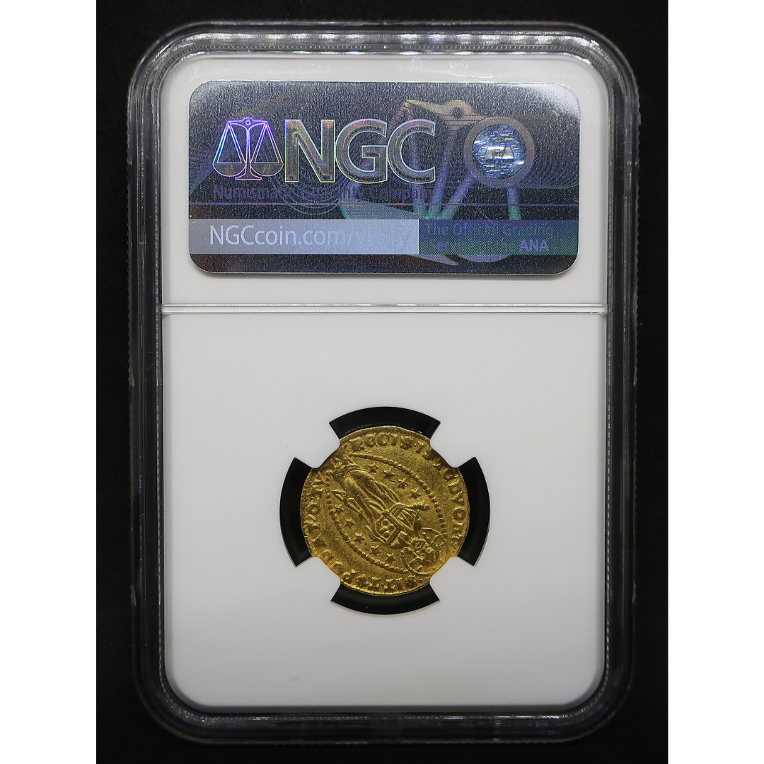 NGC スラブ 裏面 ホログラムと裏面