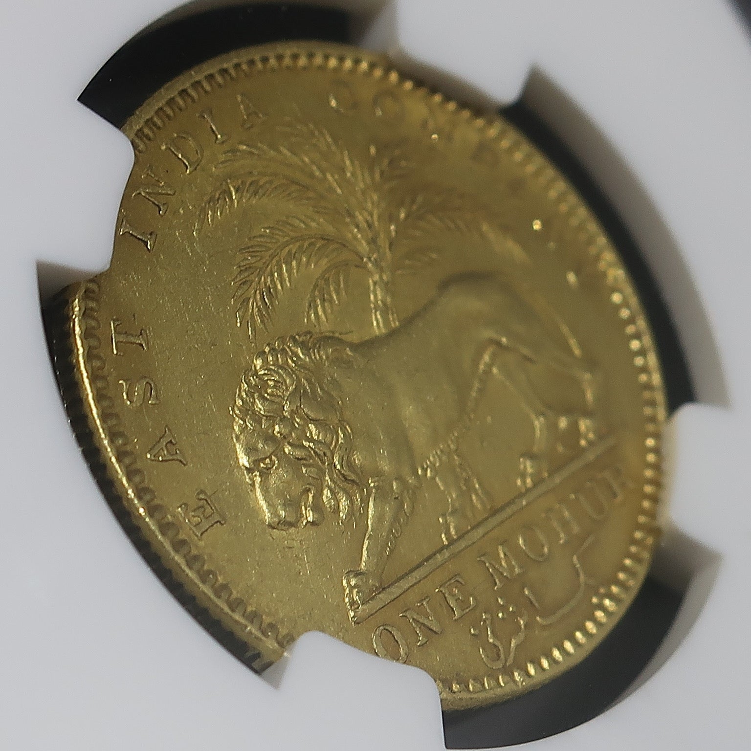 1841年 英領インド モハール金貨 東インド会社 NGC AU58 裏面斜め