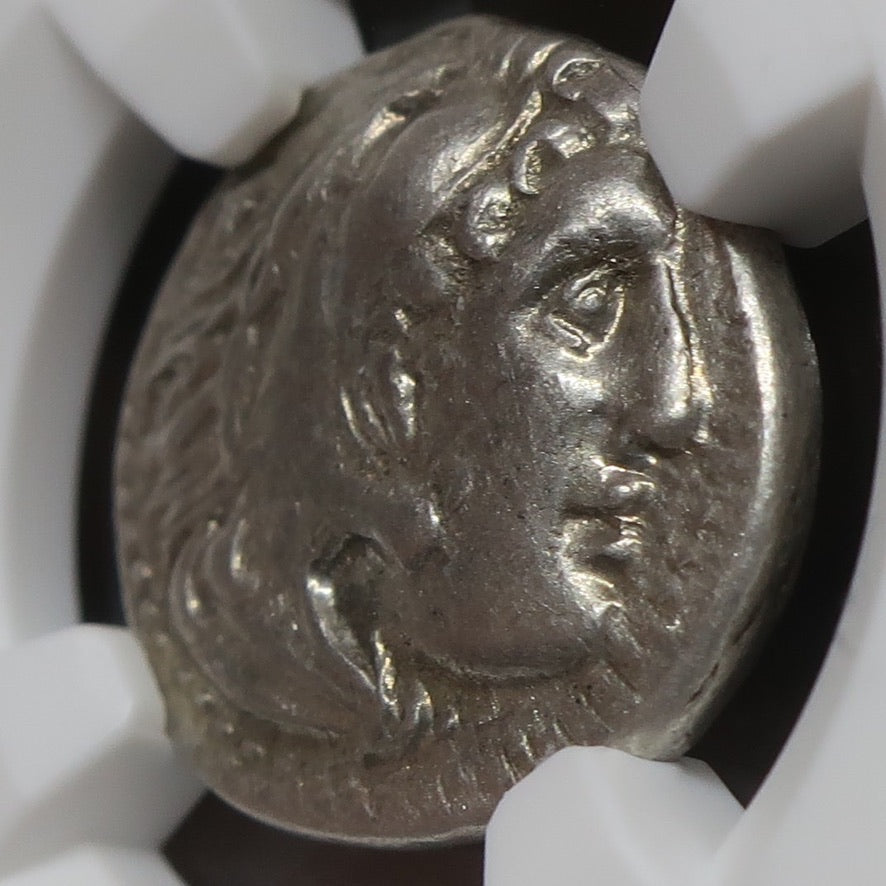 336-323 BC 古代マケドニア ドラクマ銀貨 アレキサンダー3世 XF4/5-3/5 NGC 画像6