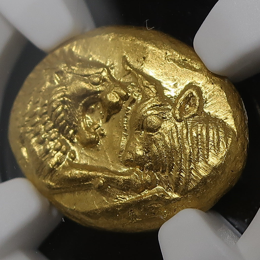 【満点】561-546BC リディア帝国 スタテル金貨 ChMS 5/5-5/5 クロイソス ライトシリーズ NGC鑑定済み - CoinBlessing(コインブレッシング)