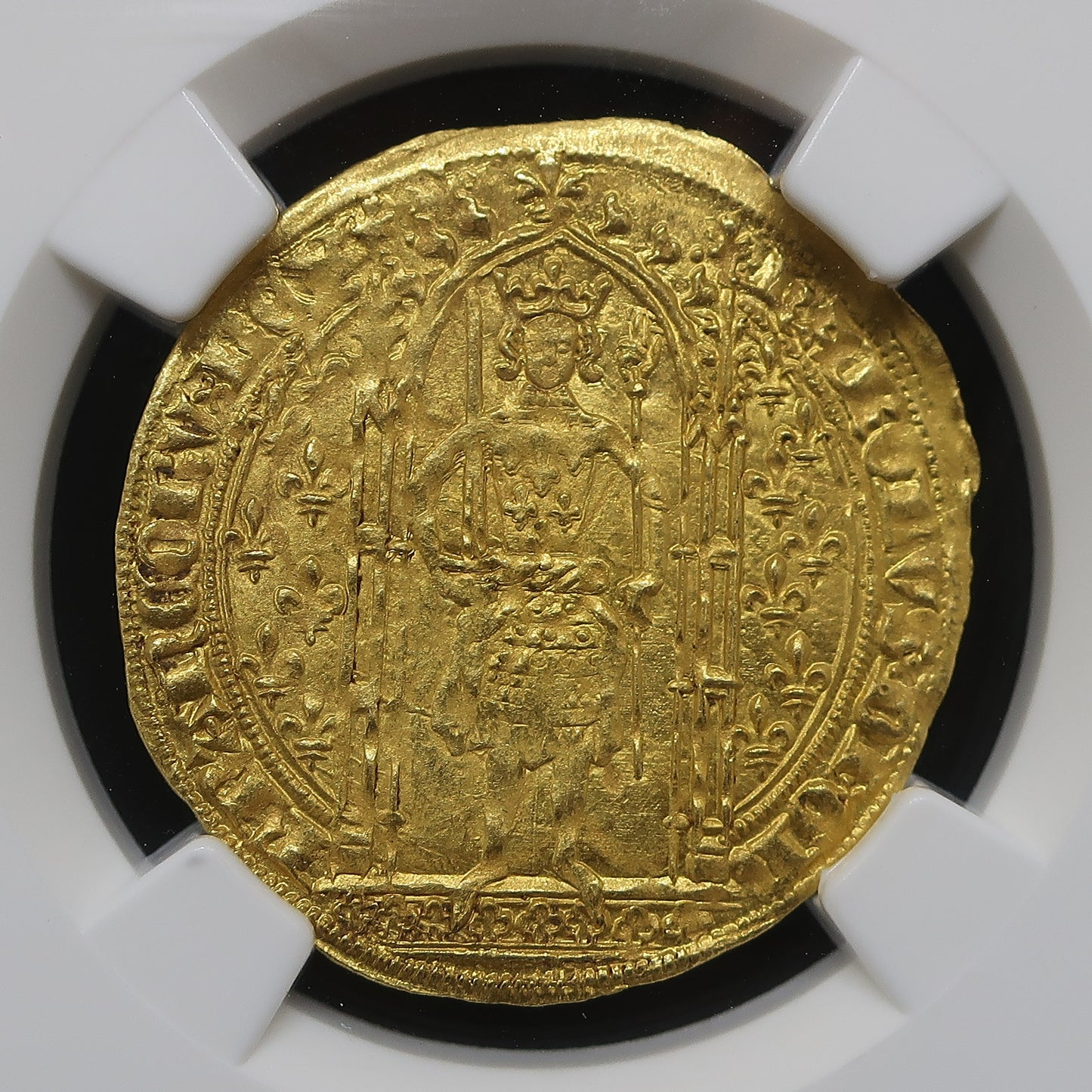 NGC鑑定済 フランカピエ金貨 MS64 スラブケース入り クローズアップ表