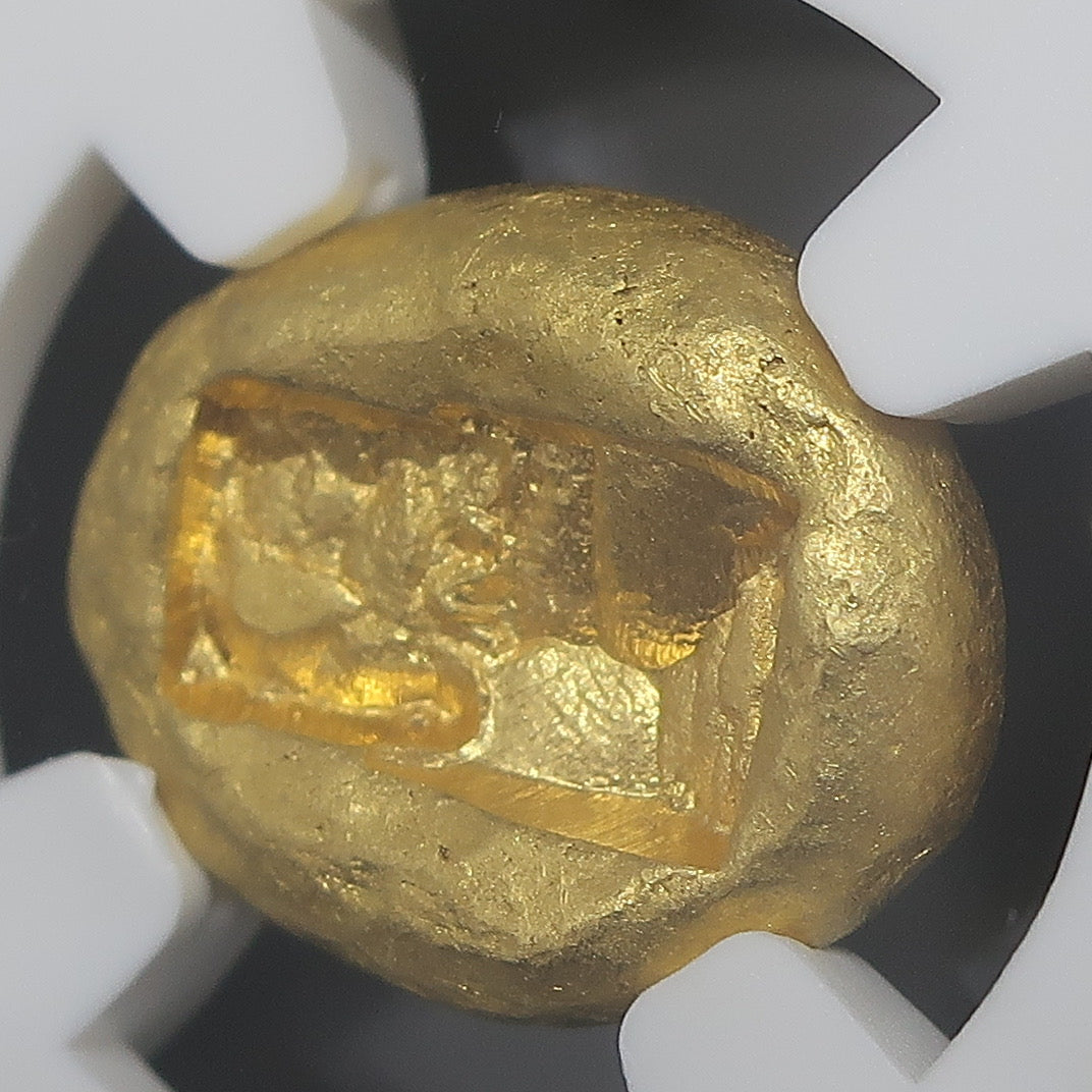 【満点】561-546BC リディア帝国 スタテル金貨 ChMS 5/5-5/5 クロイソス ライトシリーズ NGC鑑定済み - CoinBlessing(コインブレッシング)