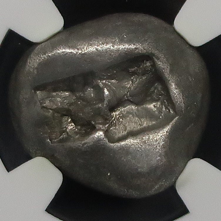 561-546 BC リディア帝国 スタテル銀貨 クロイソス VF5/5-4/5 NGC鑑定済み 画像10