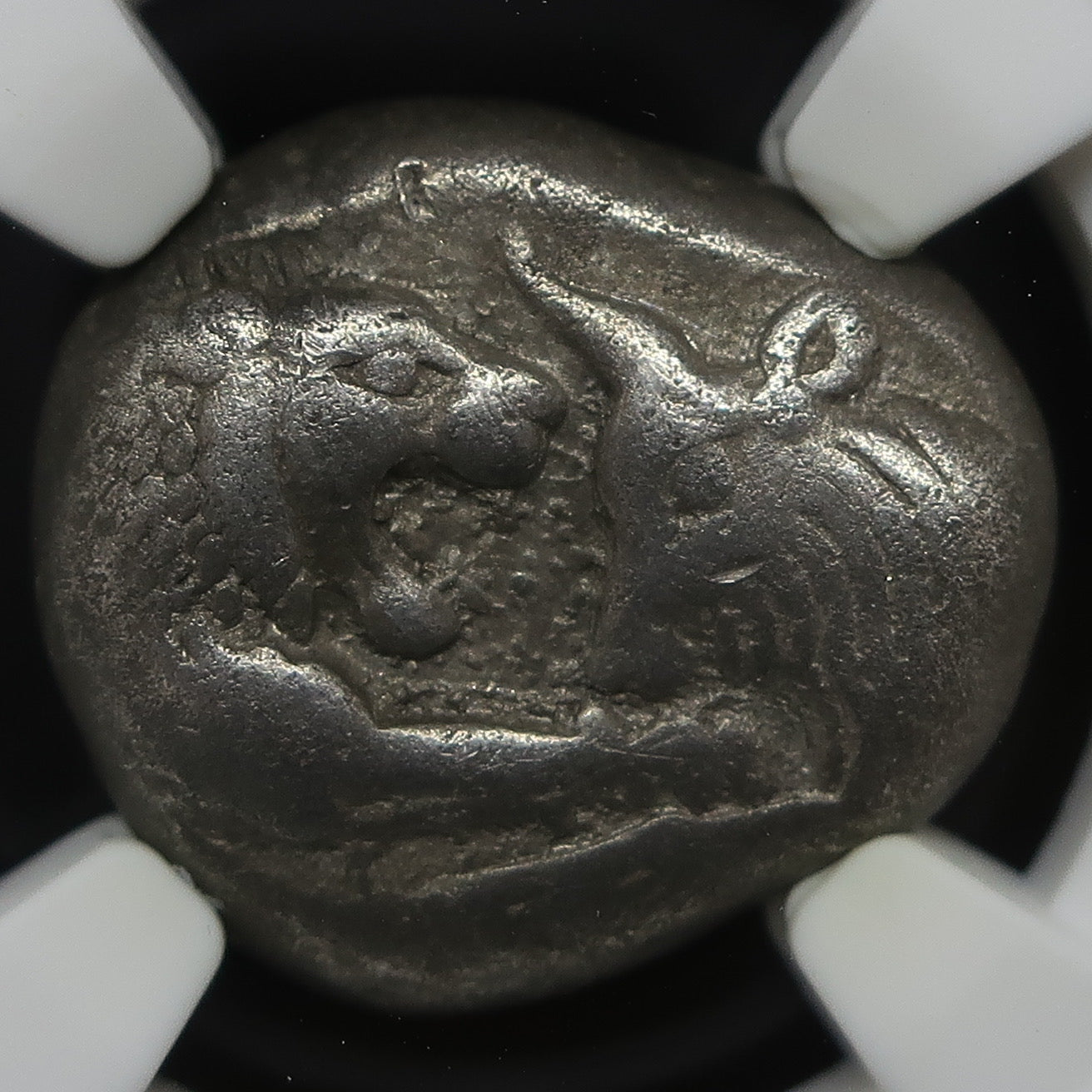 561-546 BC リディア帝国 スタテル銀貨 クロイソス VF5/5-4/5 NGC鑑定済み 画像11