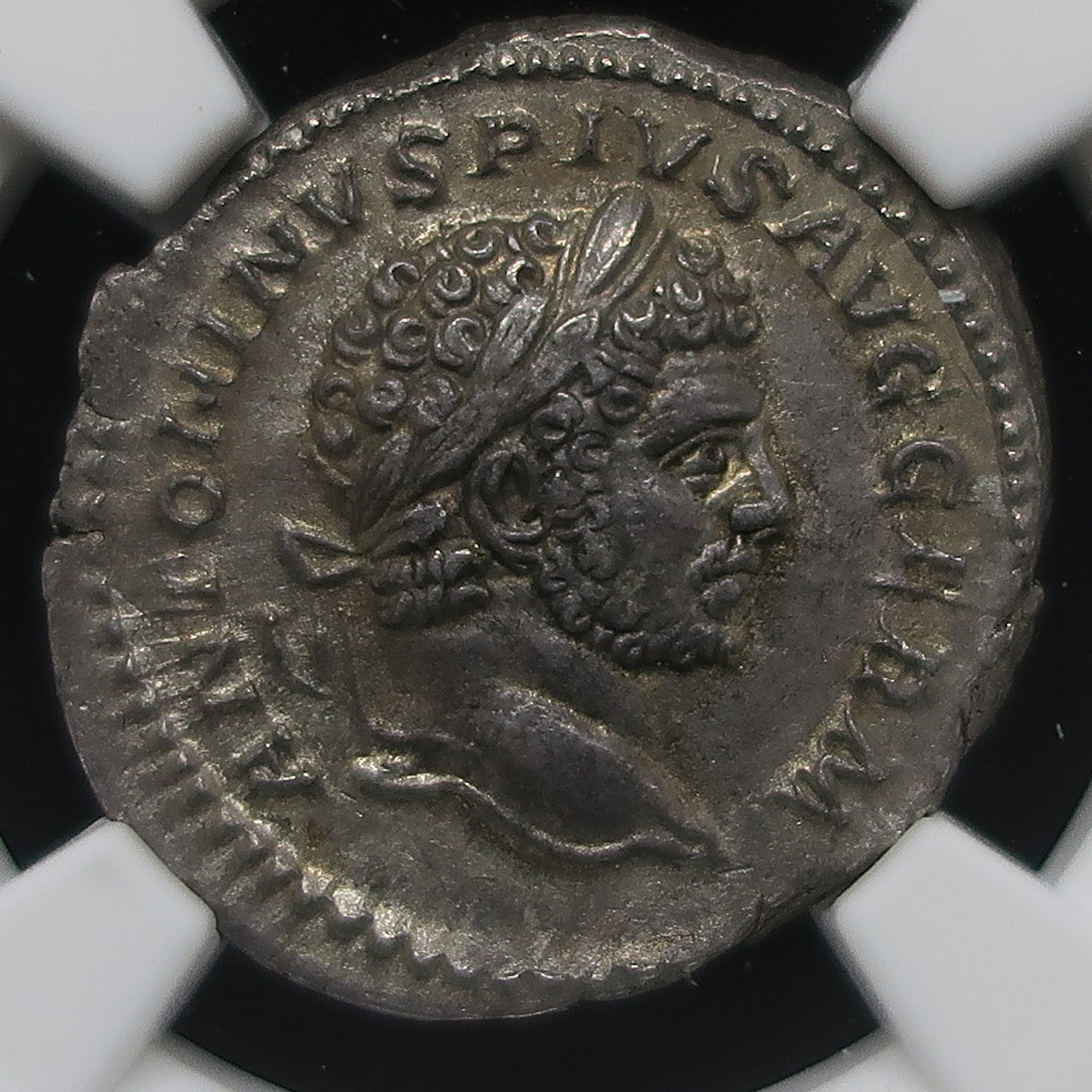 AD198-217 ローマ帝国 デナリウス銀貨 カラカラ帝 ChAU5/5-5/5 NGC鑑定済み image8