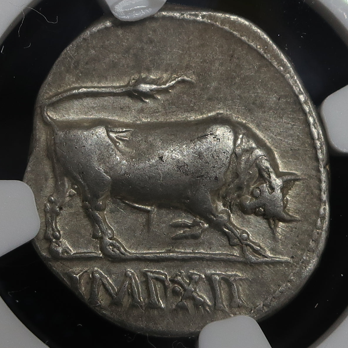 27 BC-AD 14 ローマ帝国 デナリウス銀貨 アウグストゥス XF4/5-4/5 NGC鑑定済み