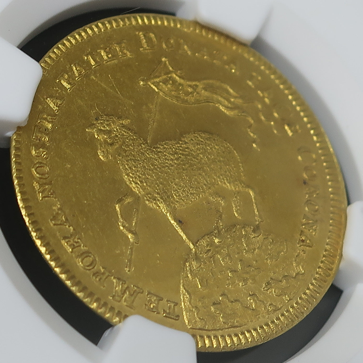 1700 ドイツ ニュルンベルク 2ダカット金貨 神聖ローマ帝国 MS61 NGC image6
