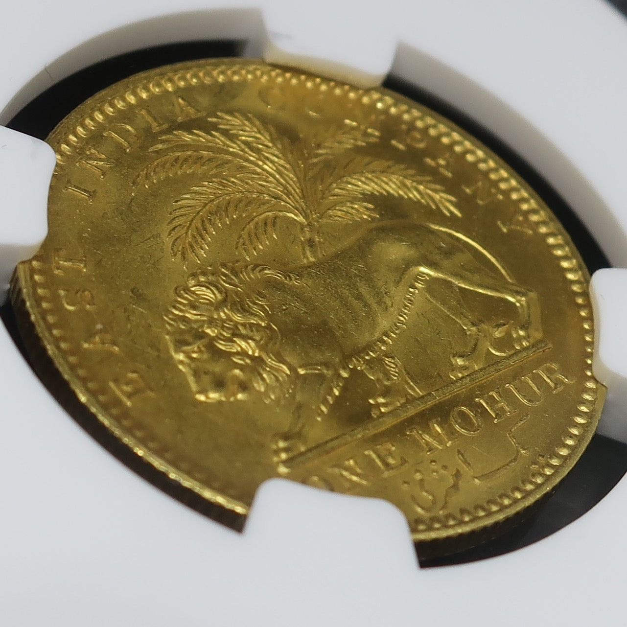 1841 イギリス領インド モハール金貨 東インド会社 ヴィクトリア MS62+ NGC - CoinBlessing(コインブレッシング)