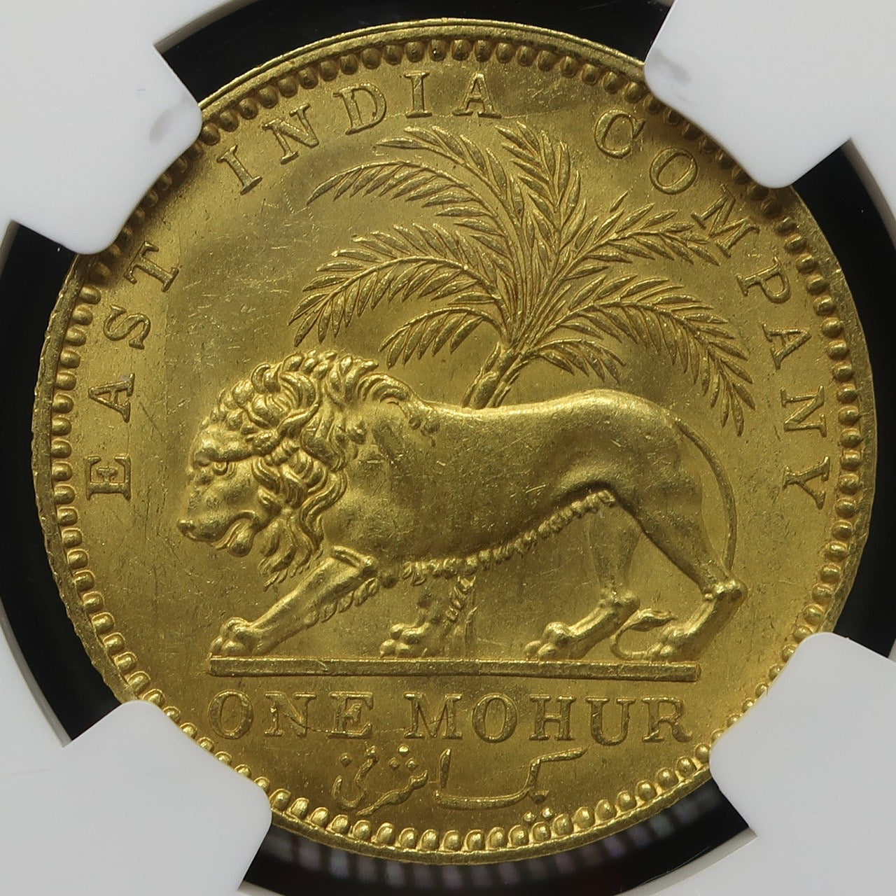 1841 イギリス領インド モハール金貨 東インド会社 ヴィクトリア MS62+ NGC - CoinBlessing(コインブレッシング)