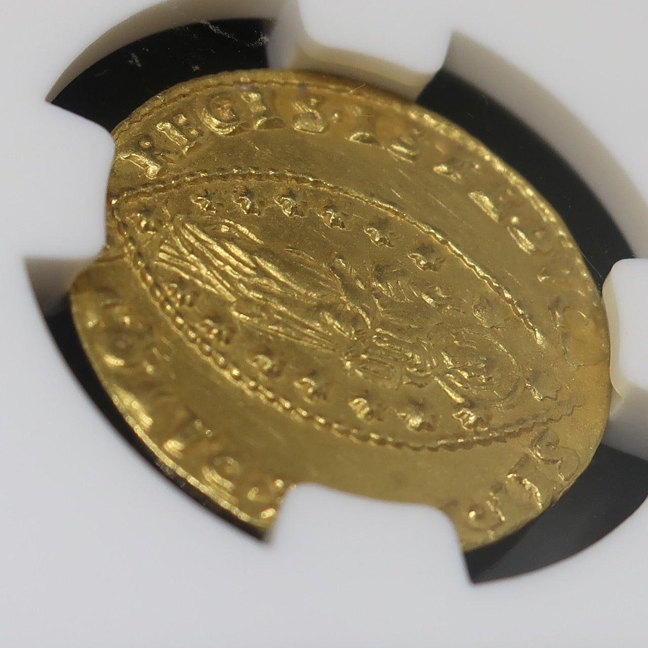 1688-94 イタリア ゼッキーノ金貨 ヴェニス フランチェスコ・モロッシーニ MS63 NGC