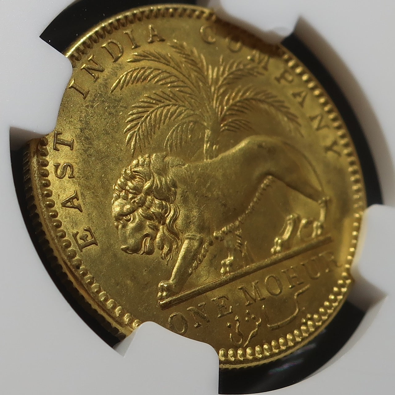 1841 イギリス領インド モハール金貨 東インド会社 ヴィクトリア MS61 
